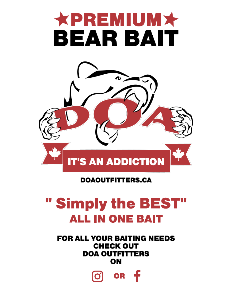 Premium Bear Bait for Sale